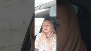 Закупка картошки и лука