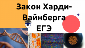 Закон Харди-Вайнберга для ЕГЭ + решение задачи