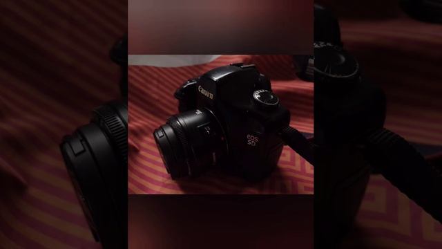 Canon 5D to take pictures