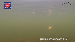 Блесны для ловли форели Nories Masukurouto Rooney