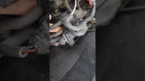 Расположение вакуумных трубок vectra c 2.2 dti