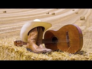 Валерий ШАПОВАЛОВ - Трапеза (посвящение американскому кантри) [АУДИО]