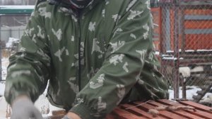 Как правильно определять возраст петуха.