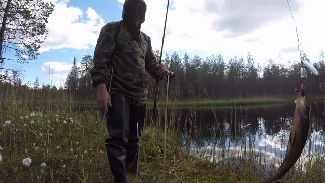 ВЫХОДНЫЕ НА РЫБАЛКЕ в КАРЕЛИИ. Толвоярви 2020. смотреть онлайн