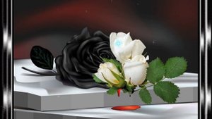 исп.Алла Аскерова  -Чёрная роза