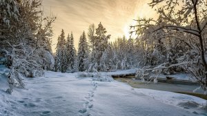 Артём Гельман - Дорога к Храму