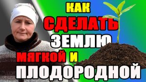 Как сделать землю МЯГКОЙ и ПЛОДОРОДНОЙ.