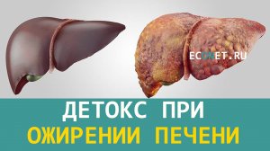 Как проводить детокс при ожирении печени