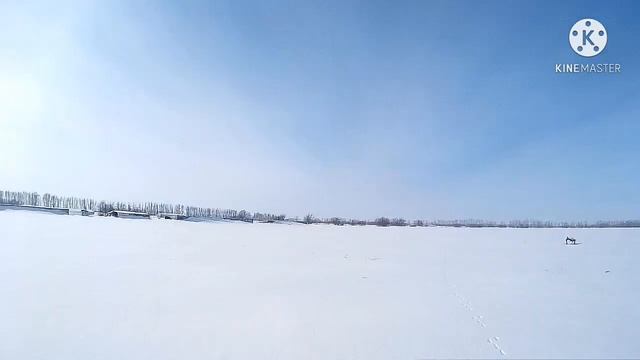 Охота закончилась, подсчёт выживших зайцев. 2021г смотреть онлайн