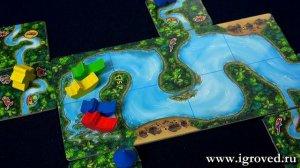 Каркассон: Амазонка. Обзор настольной игры от Игроведа.