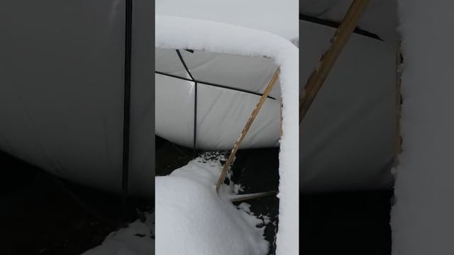 Как за одну ночь потерять 450 тысяч рублей на клубнике. Теплицы. Снег. Беда. смотреть онлайн