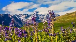 Сколовы Виталий и Наталья песня Земля, я люблю тебя!