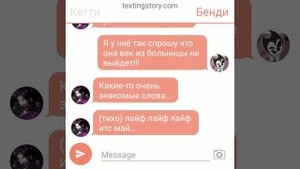 Я и Кошка-Арабка