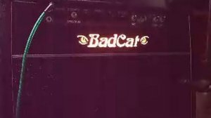 Bad Cat Cub II w/ Gibson SG Classic