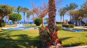 Рифы, как в Шарме! Serenity Beach 5* & пляж Serenity Fun City 5*, обзор. Makadi bay, Египет