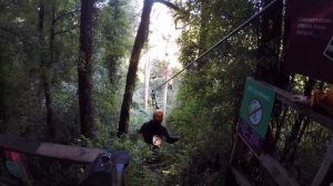 Original Canopy Tour Rotorua