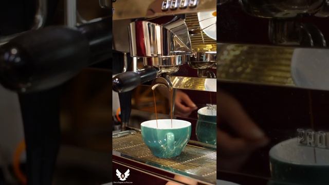 Обучение бариста short #shorts #barista #cappuccinocoffee #latteart