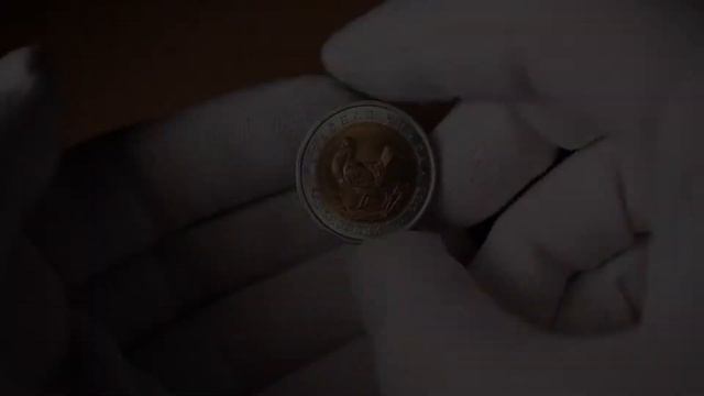 50 рублей 1993 - Кавказский тетерев. Редкие монеты России смотреть онлайн