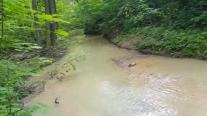 Почему мелеют реки??