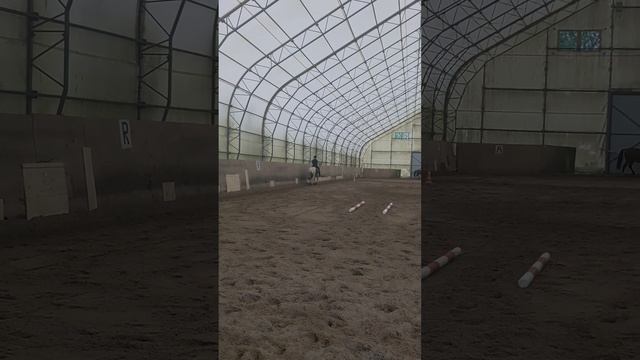 Две Алисы на тренировке