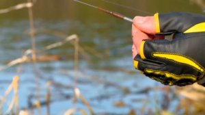 Съедобная резина и весенний окунь : Практика ловли с Валерием Сикиржицким