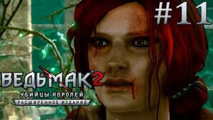 Спасение Трисс. Ведьмак 2: Убийцы Королей. Игрофильм. #11.
