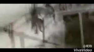 Конец света 2017