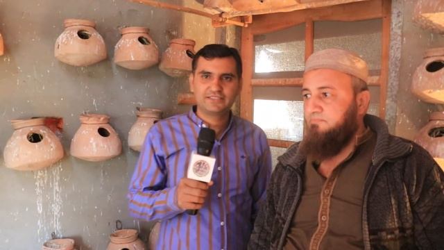 Cream Cocktail and Java Breeding Setup Visit | Sohail Ahmed TV | in Urdu/Hindi. смотреть онлайн