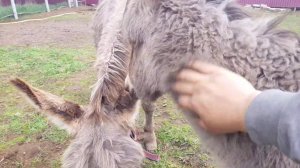 НА КОНЕЦ Я ЗАСАДИЛ !!!