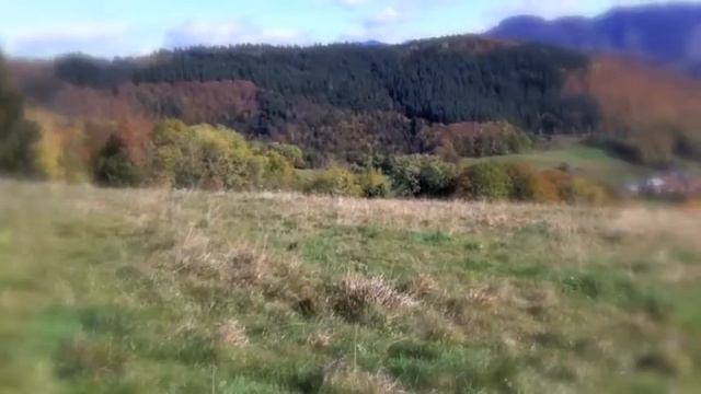 осень смотреть онлайн