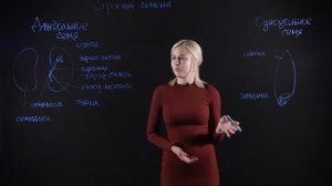 Биология 6 класс: Строение и распространение семян