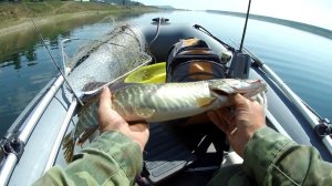 Ловля щуки. Ловля щуки на ангаре с лодки. Рыбалка с лодки на реке. Рыбалка с лодки на спиннинг.