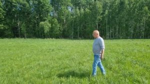 Высокоурожайные сенокосы из злаково-бобовых трав.