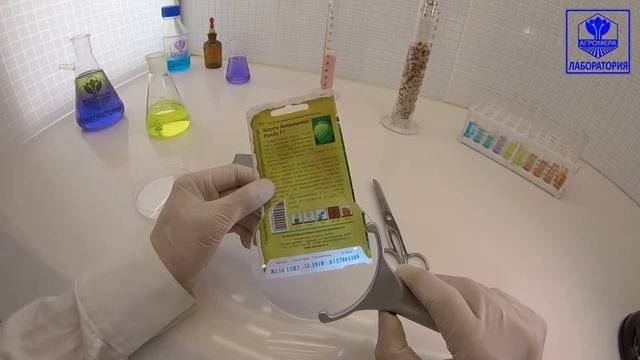 Капуста белокочанная Ринда. СеменаАлтая