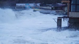 Последствия шторма в Широкой Балке. 27 ноября 2023 года