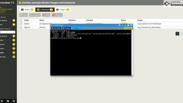 Crossbar.io FX Center UI walkthrough смотреть онлайн
