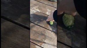 + Секрет дяди Вани. Рыбалка весна 2023. Ловля сазана на спортивном водоеме «Каневской»