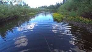 Сплав / Эта микро блесна косит любого хищника любых размеров / Невероятная борьба с трофеем
