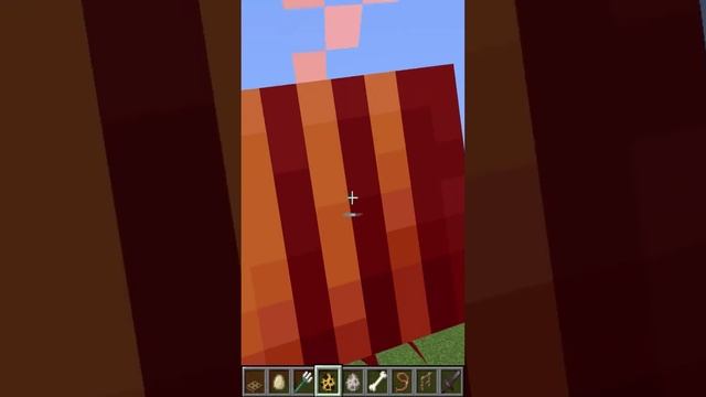 Minecraft Would you rather fight a hundred chicken sized zombies, or ten zombie sized chickens.mp4