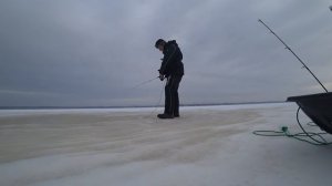 Ловля судака на вибы. Часть 2