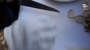 Amazing! Squid Cutting Skills | Sliced Raw Squid, Squid Sashimi