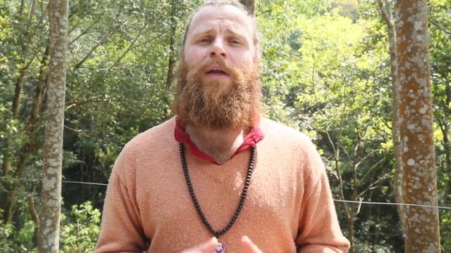 Свами Дева Сангит о йога-интенсиве, АНАНТА, 2015 смотреть онлайн