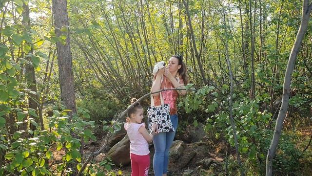 Прогулка на улице с попугаем Какаду Альба, домашние питомцы смотреть онлайн