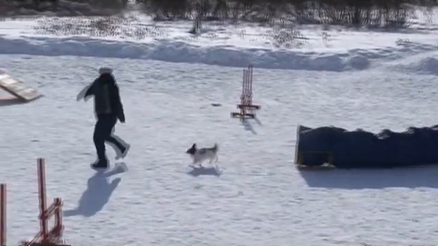 Геля 21_03_2010.mpg смотреть онлайн