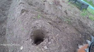 ЛУНКОДЕЛ ДЛЯ ПОСАДКИ КАРТОФЕЛЯ.250 ИДЕАЛЬНО РОВНЫХ ЛУНОК В ТЕЧЕНИИ ЧАСА,СУПЕР!