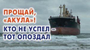 Сухогруз Blue Shark покинул Анапу