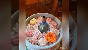 Ты должна раздеваться( с первым демо)( ты должна быть послушной) прыгай киска - Topic