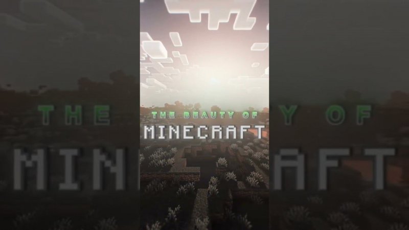 Minecraft edit #edit