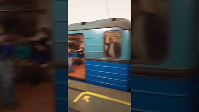 Метро пушкинское встало из - за замоубийцы