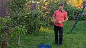 Сентябрь важный этап в подготовке сада к зиме!